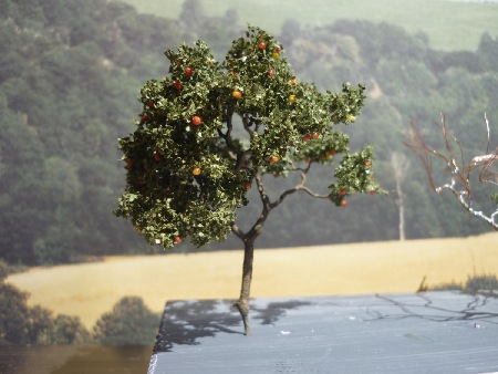 MEC Stadthagen: Baumbau bei Uwe Teichmann: der erste fertige Apfelbaum für unsere Streuobstwiesen